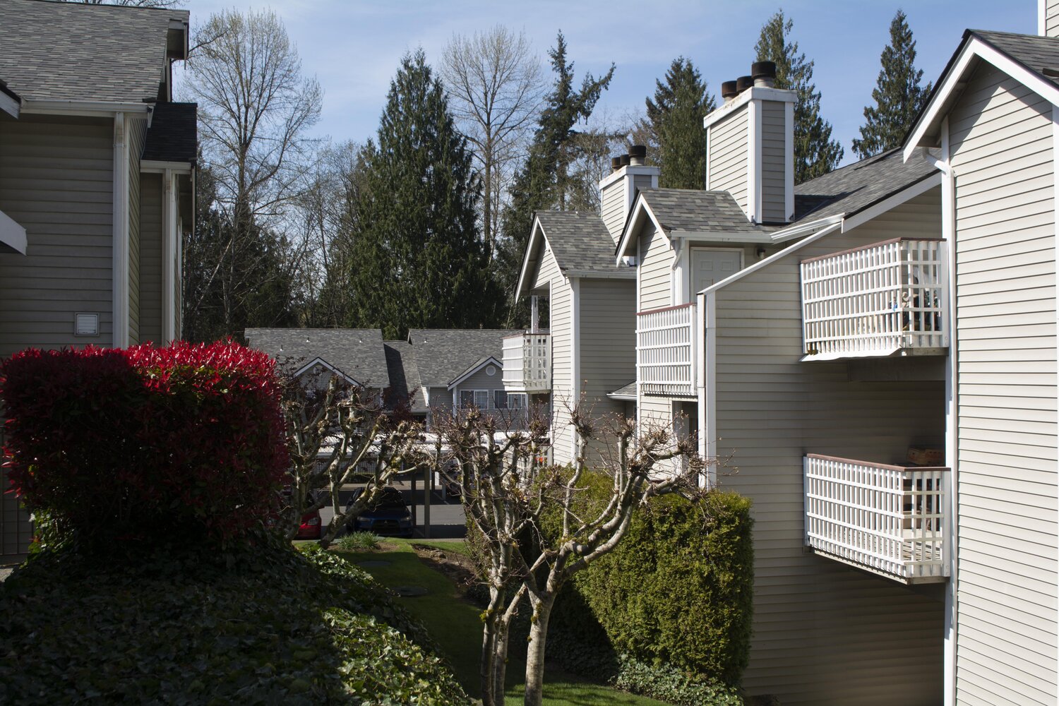 Landis Pointe Olympic MultiFamily Management