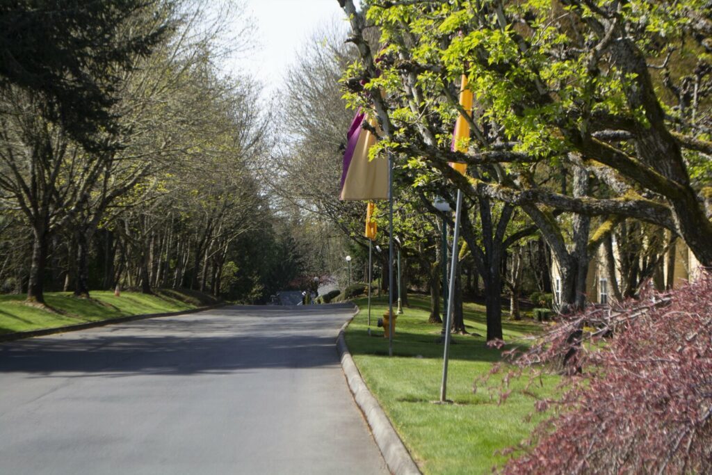 Landis Pointe Olympic MultiFamily Management