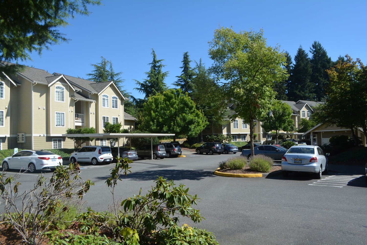 Willow Springs Olympic MultiFamily Management