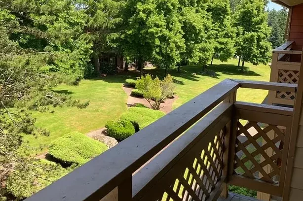 Homestead Apartments