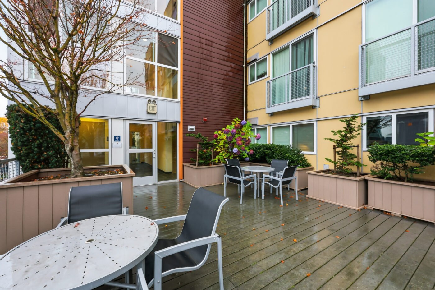 Borealis apartments in Seattle, WA